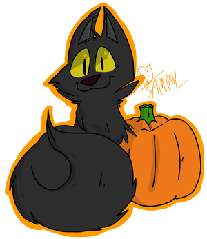 Halloween Cat!