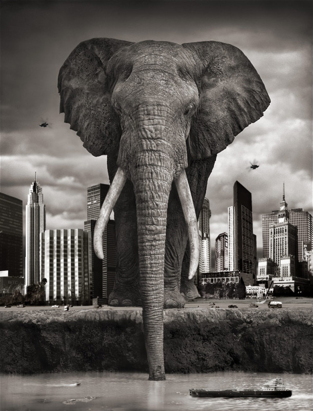 Giant Elephant