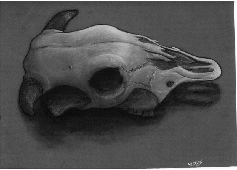 Cow Skull Thingy