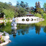 Chinese Gardens