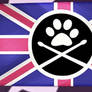 I found this flag in miss Hollywood showtime
