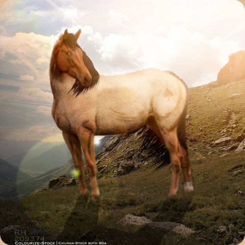 West Ridge Stallion by ShadowWraithWP on DeviantArt