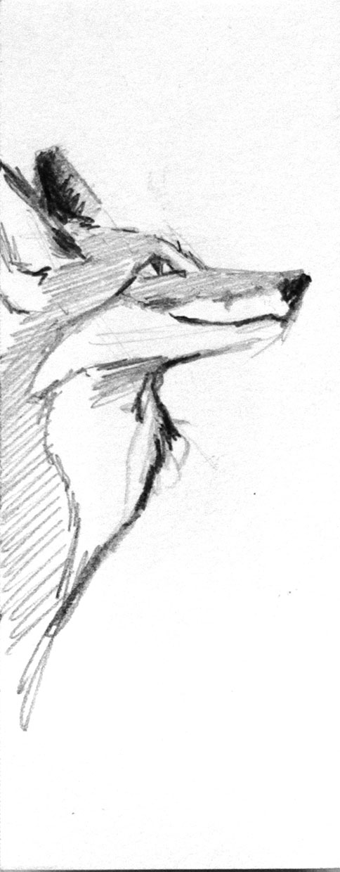 Fox up by DHokerG on DeviantArt