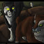 Felidae