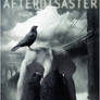 AFTERDISASTER