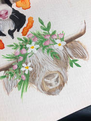 Highland Bull Painting