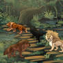 Following The Trail | EXPEDITION