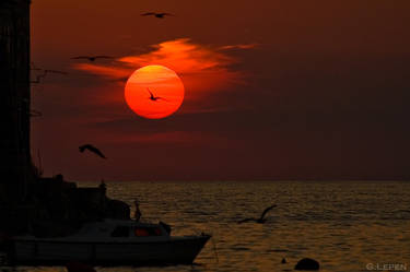 Rovinj - sunset