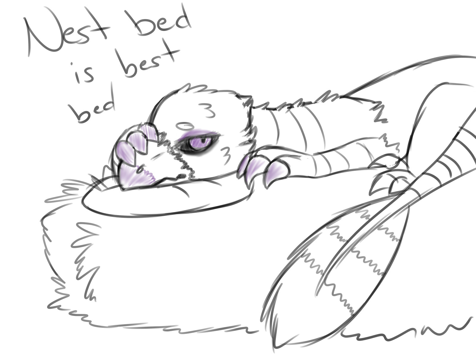 Nest is Best Bed