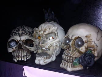 skulls