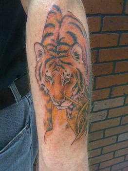 Color Tiger Tattoo