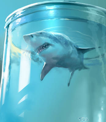 Shark