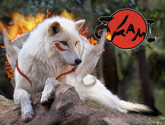 Real Okami