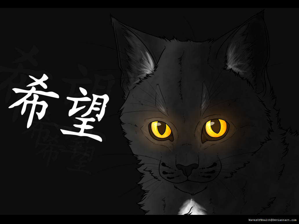 Ravenpaw Warrior Cats