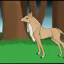 Lady Annabella | Glenmore | Royal Doe | Deceased