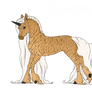 G207 | Aslan Behold - Design