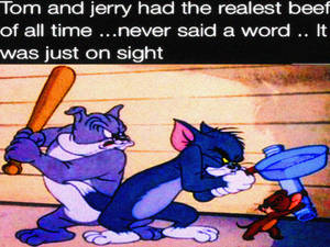 ~Tom vs Jerry vs Spike~