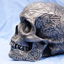 Celtic Skull Side View