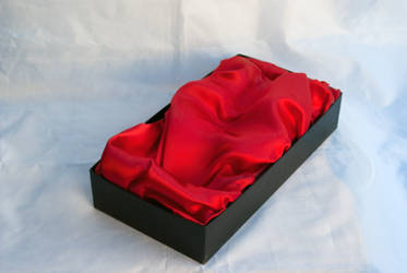 DSC07378 Scarlet And Black 2