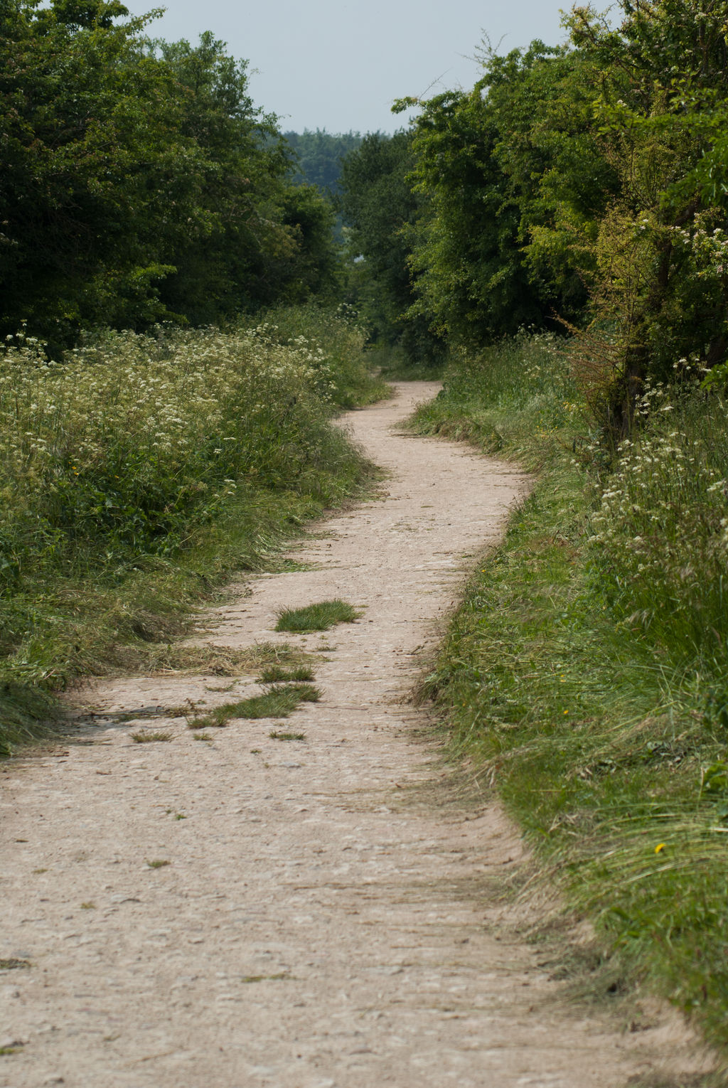 DSC04693 Wayland's Path by wintersmagicstock