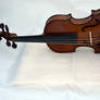 DSC 0005 Violin