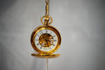 DSC 0050 Irreplaceable Time Escapes 2 by wintersmagicstock