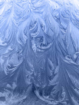 IMG 1367 Blue Frost Pattern 2