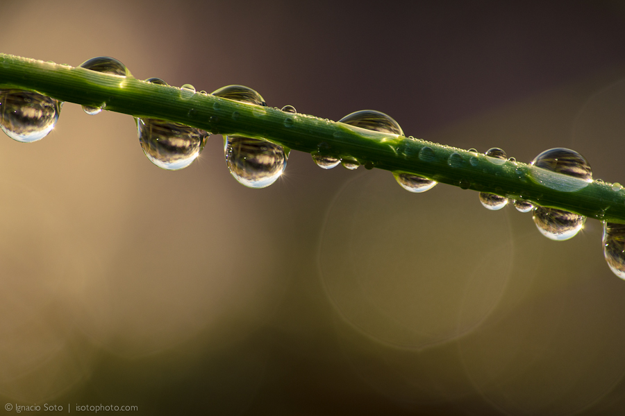 Holding on to the raindrops