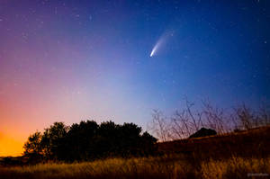 Comet Neowise