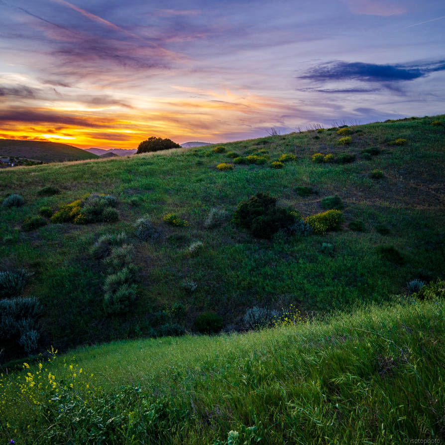 Dark Green Hill by isotophoto on DeviantArt