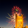 Fireworks over the bridge