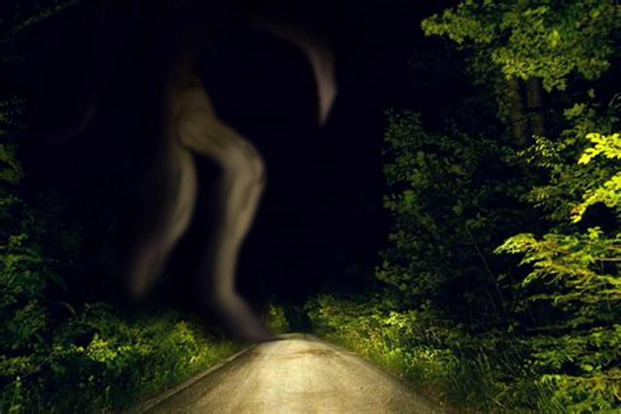 African Nightwalker Nightwalker by SnowflakeFR19 on DeviantArt