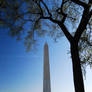 Washington Monument