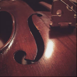 violin