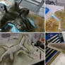More Pliosaur Moulding