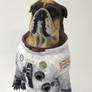 Space-Dog