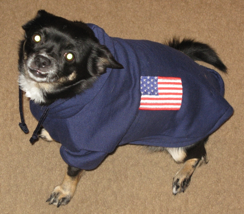 Patriotic Pooch 2