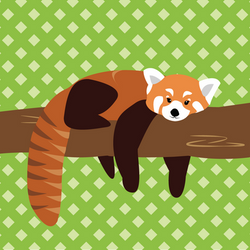 Red Panda!