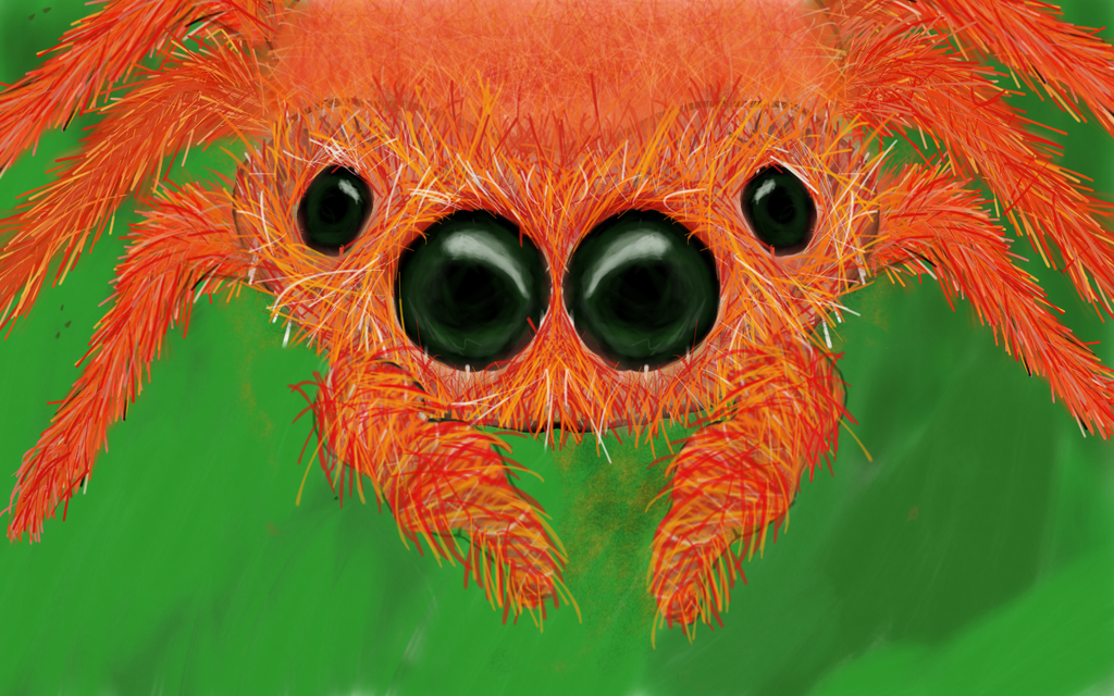 Spider Insect Deviantart Spider by Tylermon2 on DeviantArt