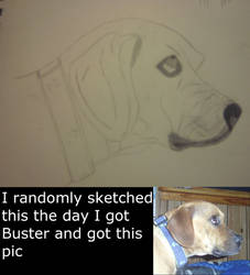 A sketch of Buster