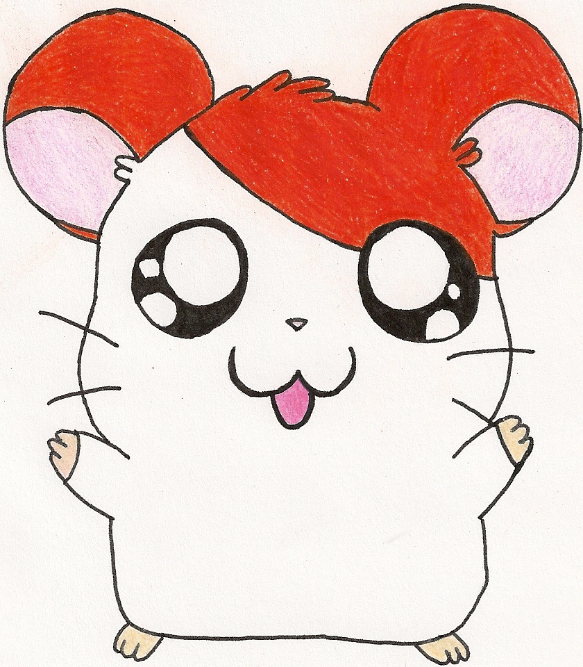 Hamtaro