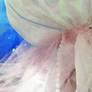 Jellyfish princess - detail