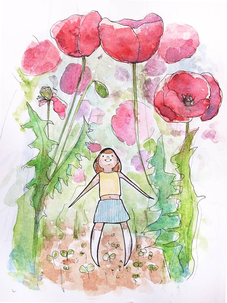 Poppy garden by Evychan