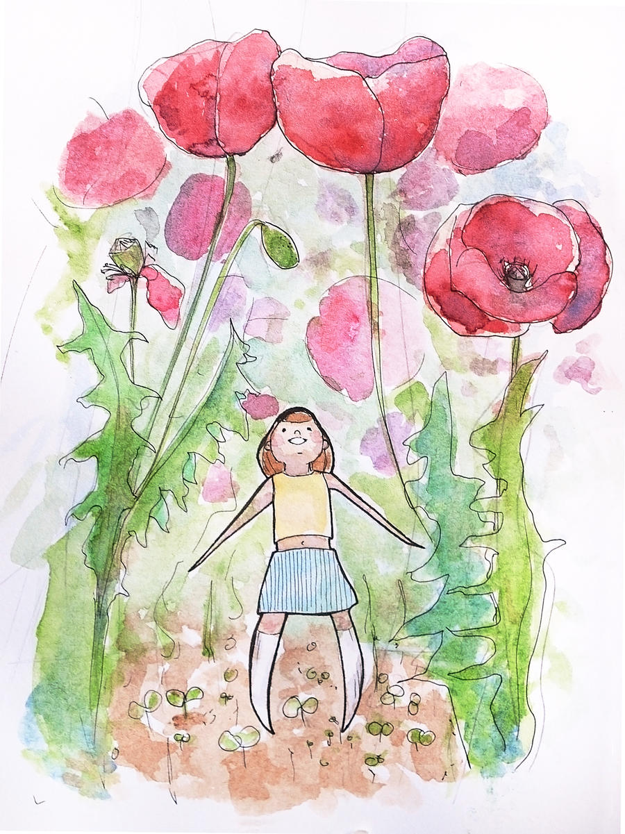 Poppy garden by Evychan