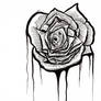 Ink Rose