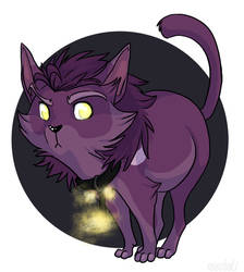 Purple kitty form