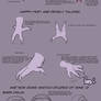 Anatomy Tutorial: Owl Basics