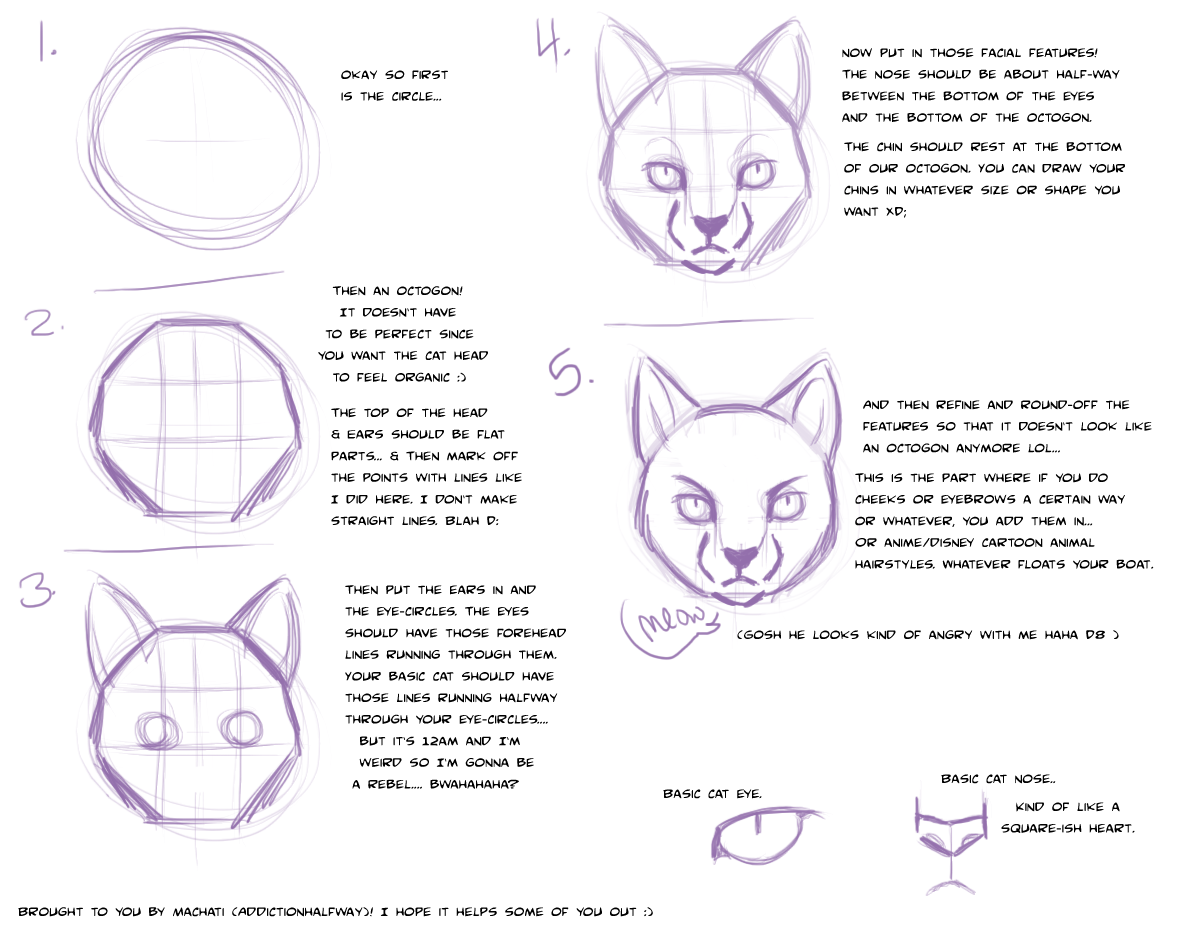 Quick Cat Face Tutorial