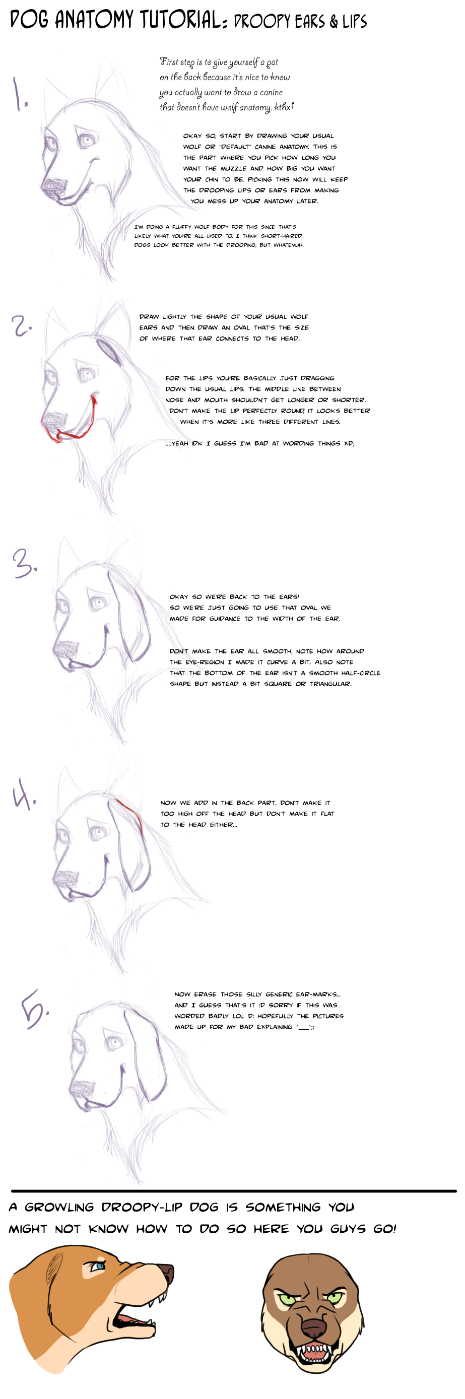 Dog Tut: Droopy lips and ears