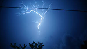 Lightning Zolt Bolt